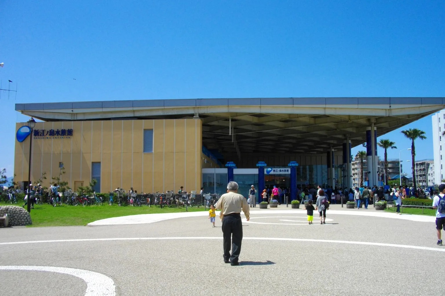 Aquarium d'Enoshima visite : 4 indicateurs pour valider votre accès