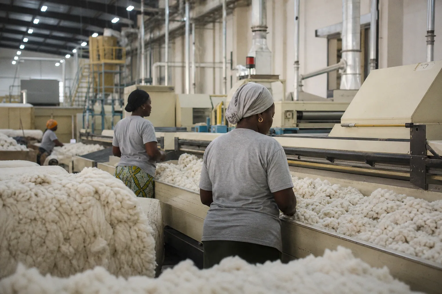 Coton : le Mali accélère sur le segment de la transformation