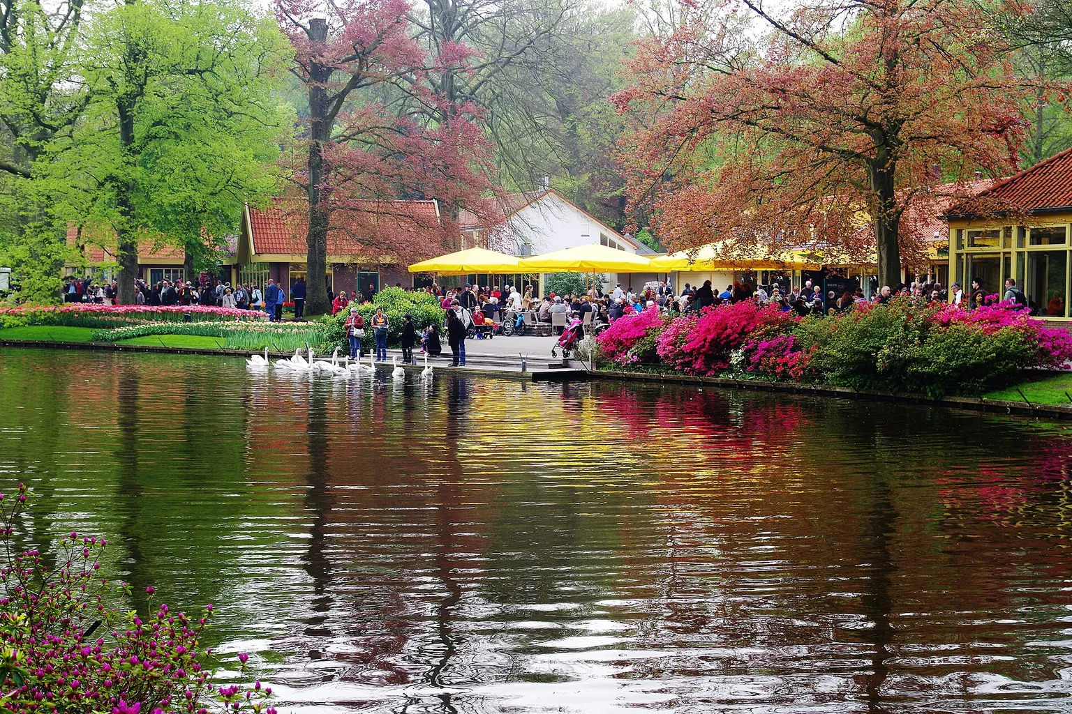Keukenhof visite : pourquoi les ventes de tote bags décollent