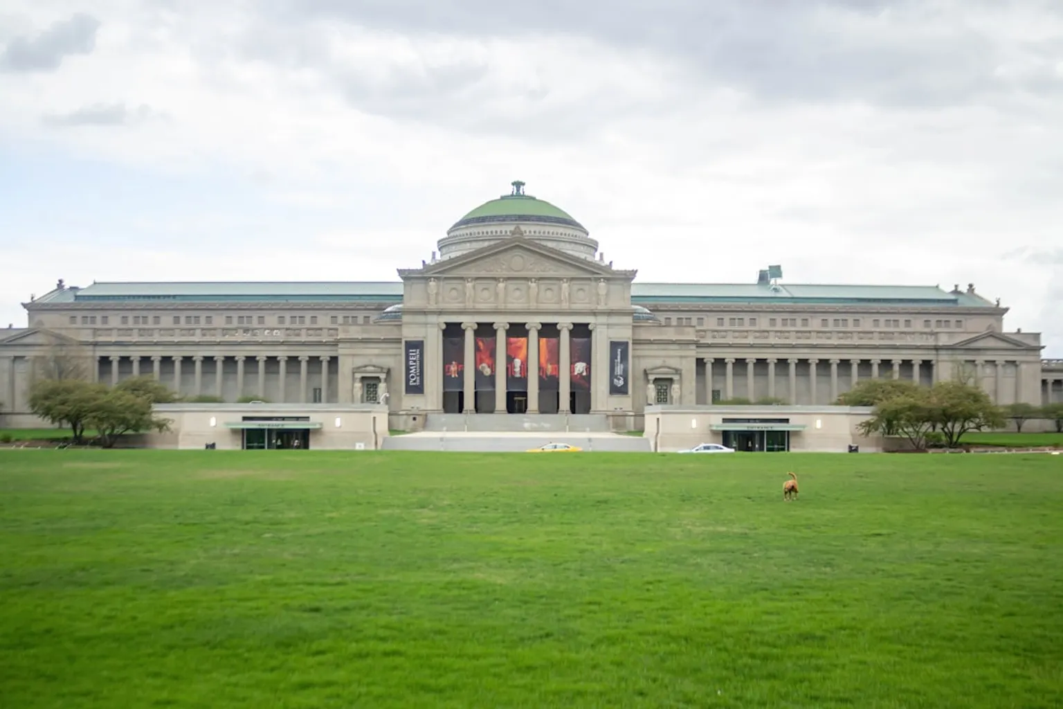 Musée Field de Chicago : quel tarif pour votre visite ?