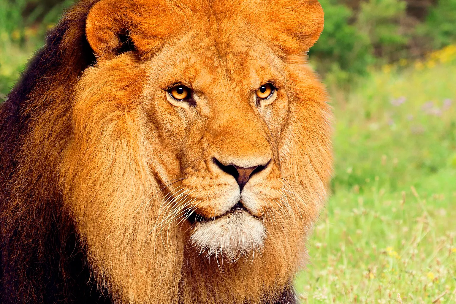 Terra Natura Murcia horaires : 4 indicateurs de flux