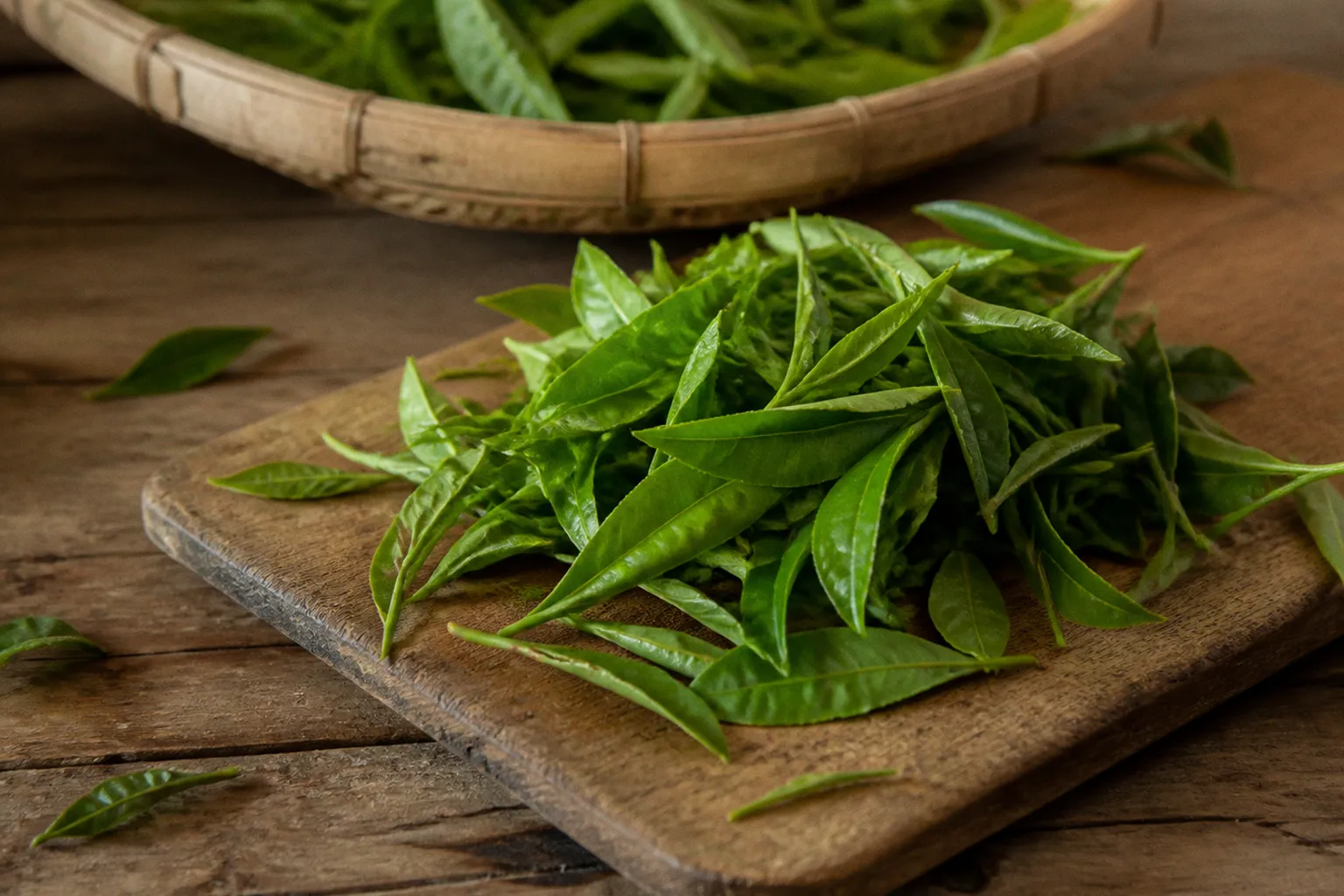 Thé vert minceur : notre sélection lucide de compléments à la L-carnitine