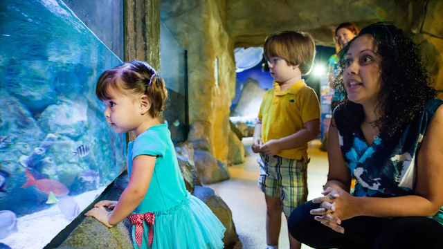 SEA LIFE Scarborough