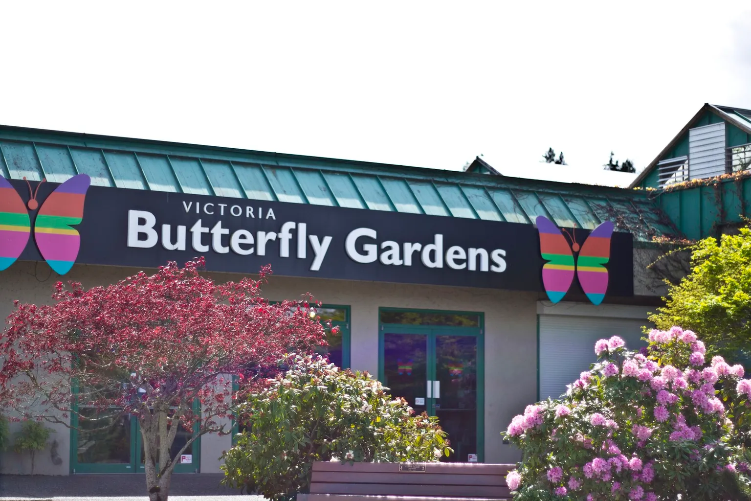 Victoria Butterfly Gardens billets : 3 options pour votre visite